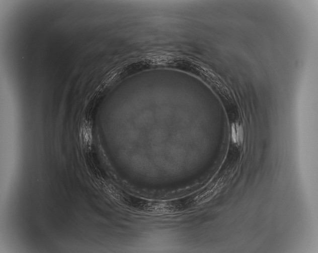X0000115351155200911101130