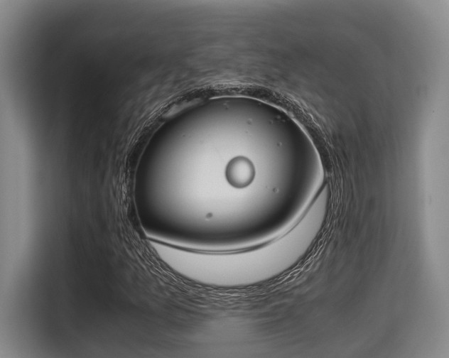 X0000115351157200911101130