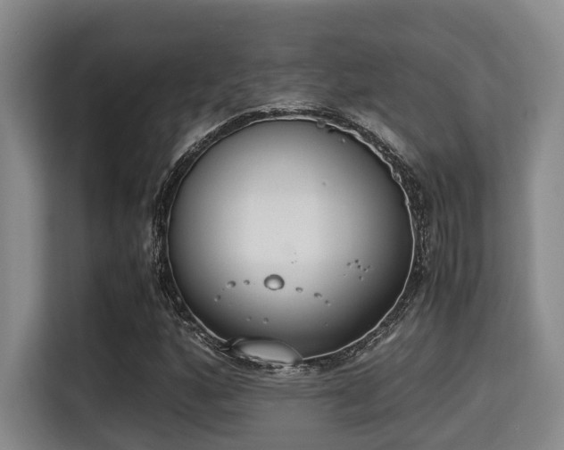 X0000115351160200911101130