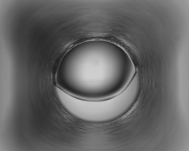X0000115351161200911101130