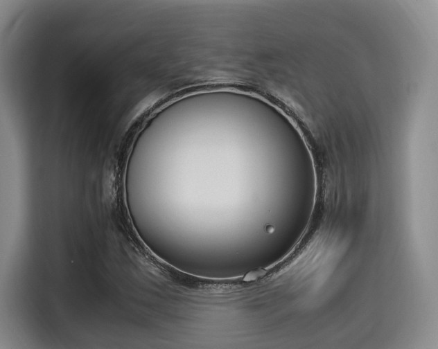 X0000115351163200911101130