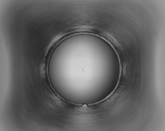 X0000115351164200911101130