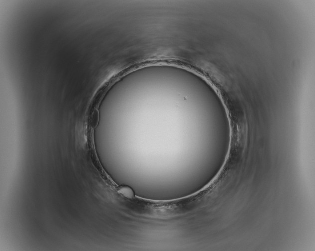 X0000115351165200911101130