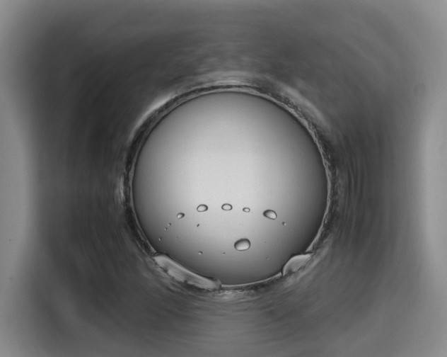 X0000115351166200911101130