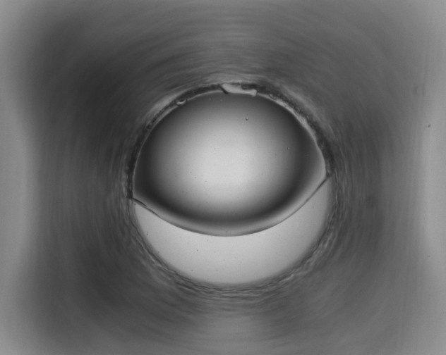 X0000115351169200911101130