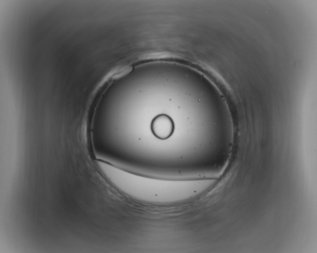 X0000115351173200911101130