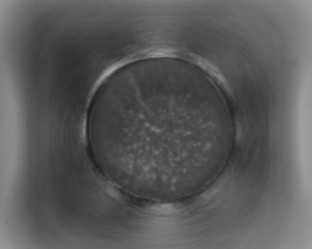 X0000115351174200911101130