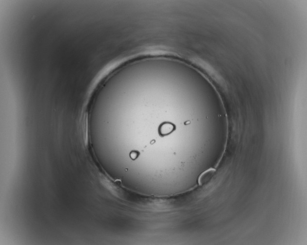 X0000115351175200911101130