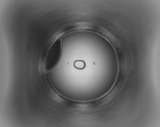 X0000115351177200911101130