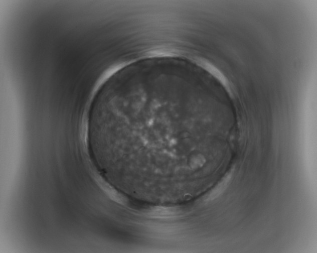 X0000115351179200911101130
