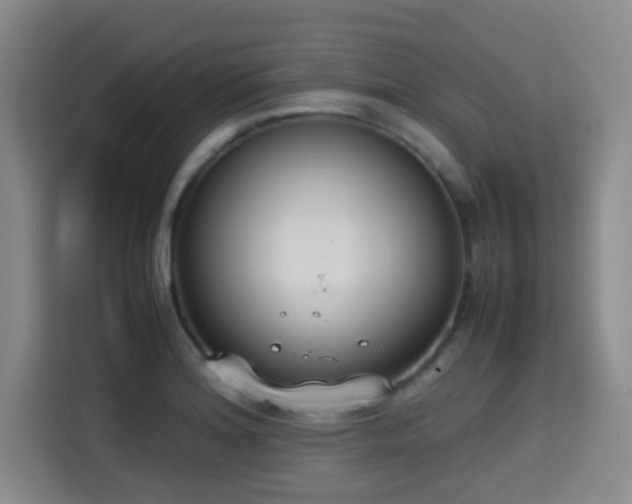 X0000115351180200911101130