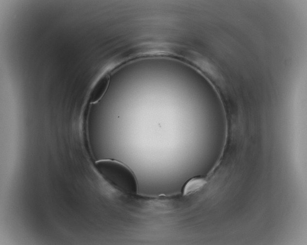 X0000115351181200911101130