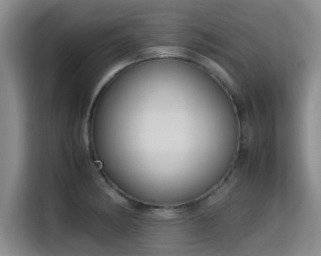 X0000115351182200911101130