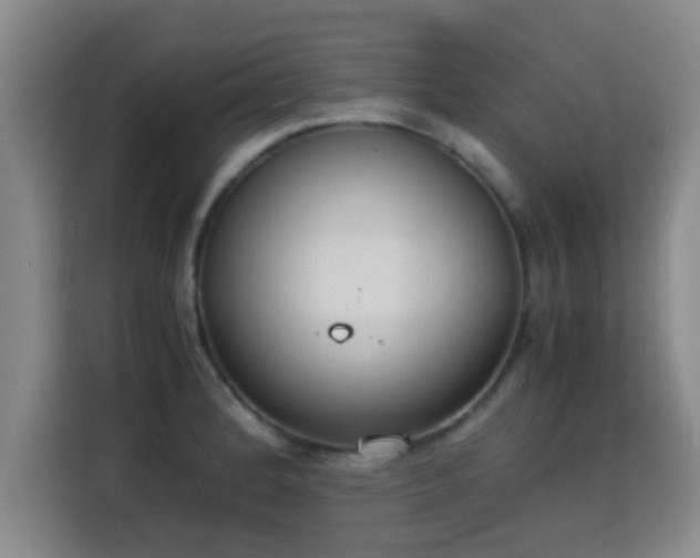 X0000115351184200911101130