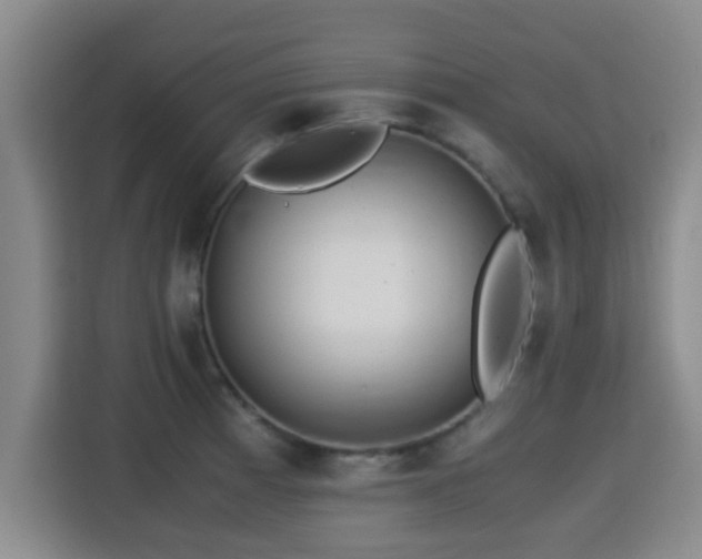 X0000115351185200911101130