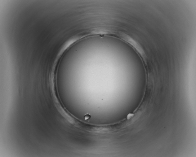 X0000115351187200911101130