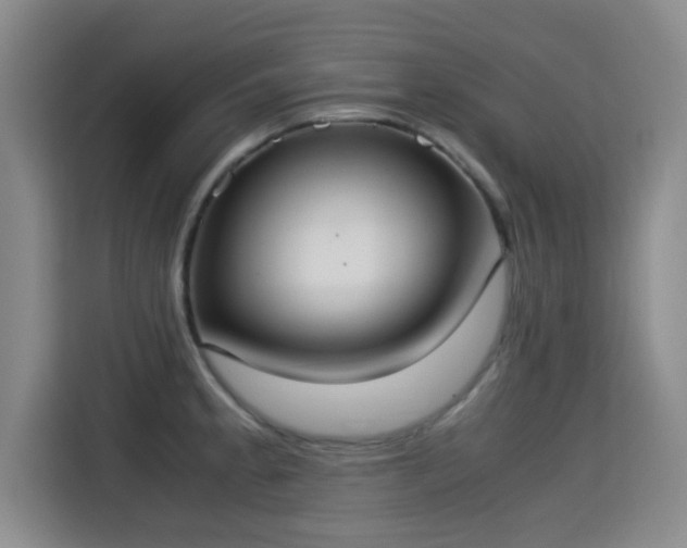 X0000115351189200911101130