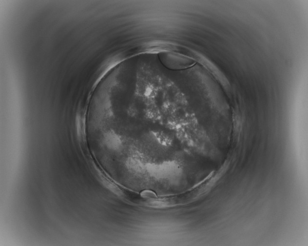X0000115351194200911101130