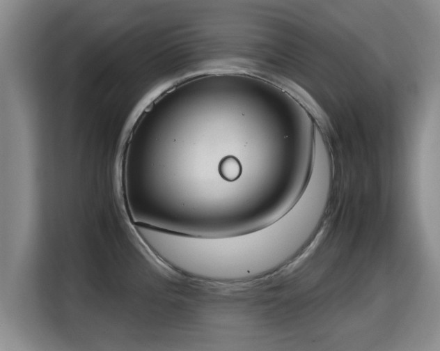 X0000115351196200911101130