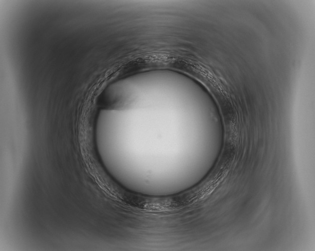X0000115351201200911101129