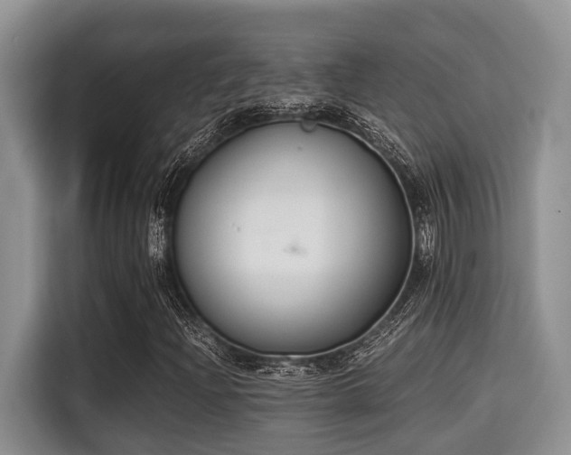 X0000115351204200911101129