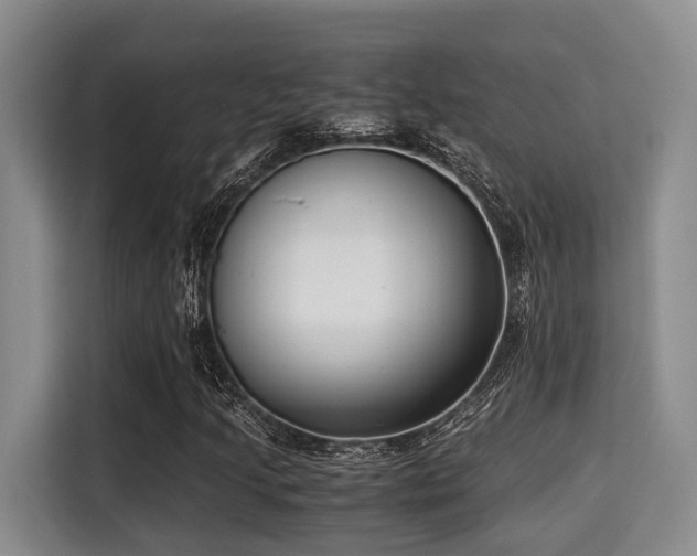 X0000115351205200911101129