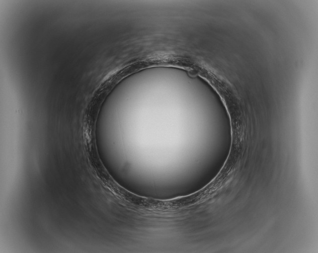 X0000115351206200911101129