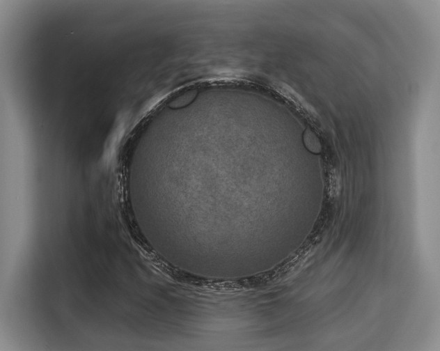 X0000115351208200911101129