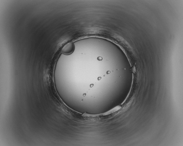 X0000115351210200911101129