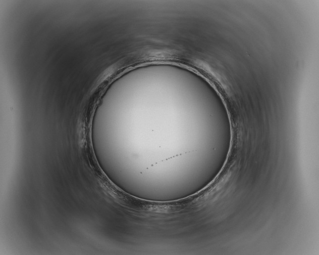 X0000115351211200911101129