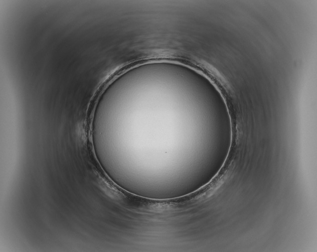 X0000115351212200911101129