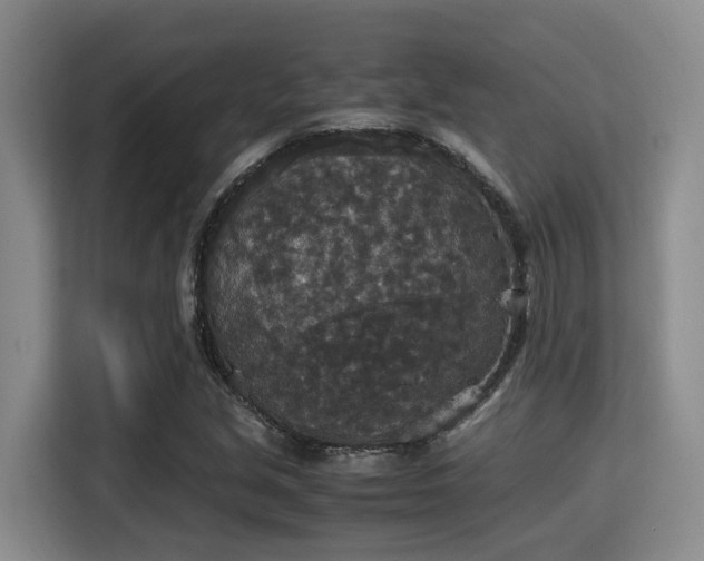 X0000115351213200911101129