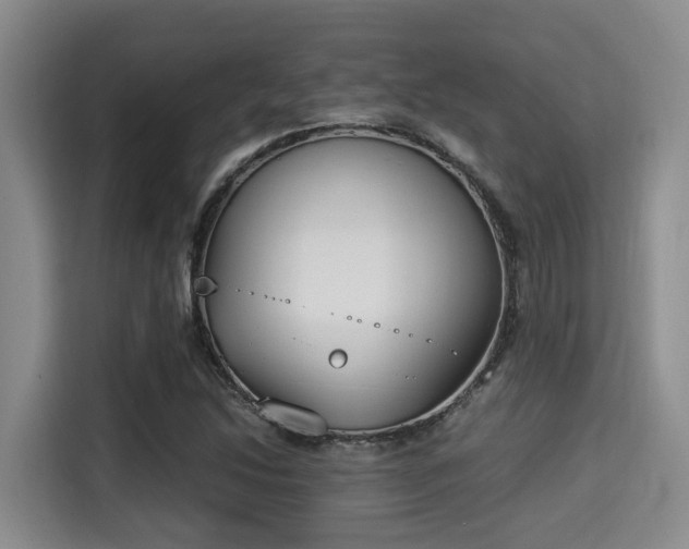 X0000115351214200911101129