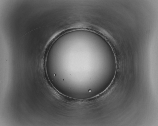 X0000115351216200911101129