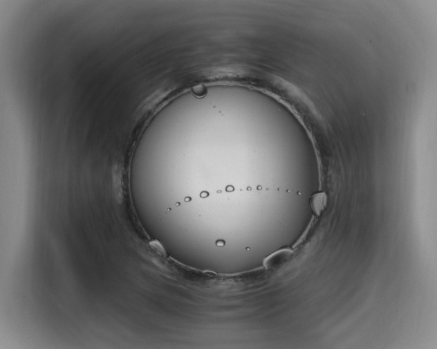 X0000115351217200911101129