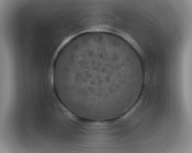 X0000115351224200911101129