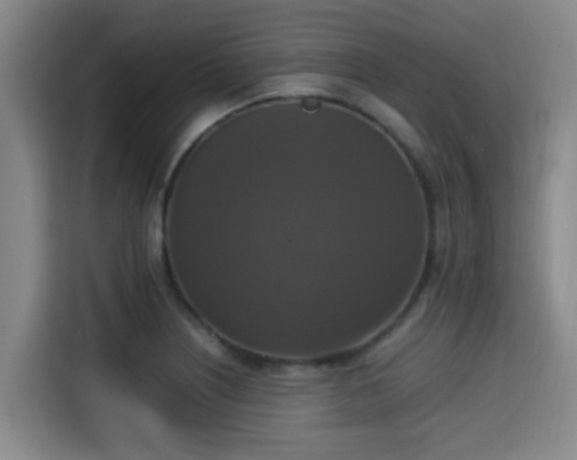 X0000115351226200911101129