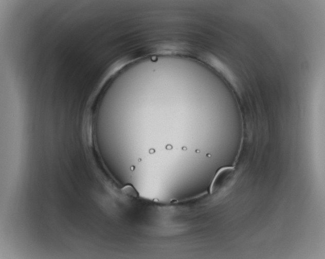 X0000115351227200911101129
