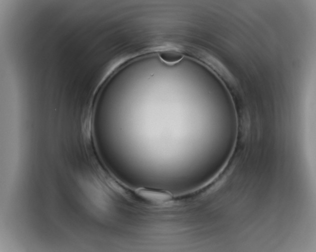 X0000115351228200911101129