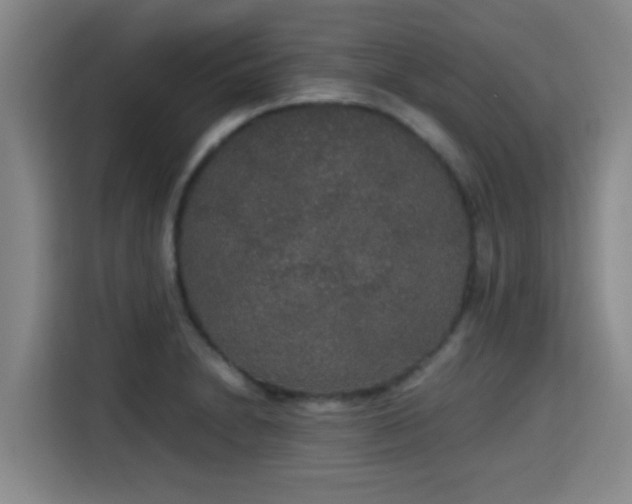 X0000115351230200911101129