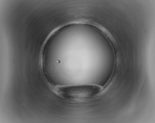 X0000115351232200911101129