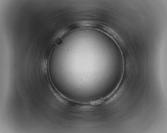 X0000115351233200911101129