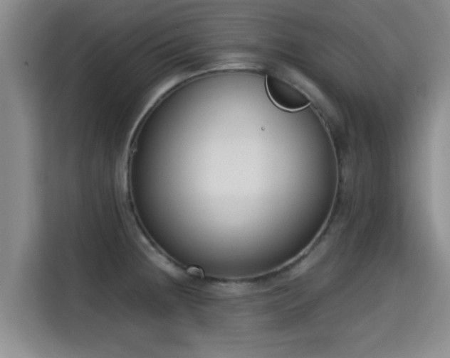 X0000115351236200911101129