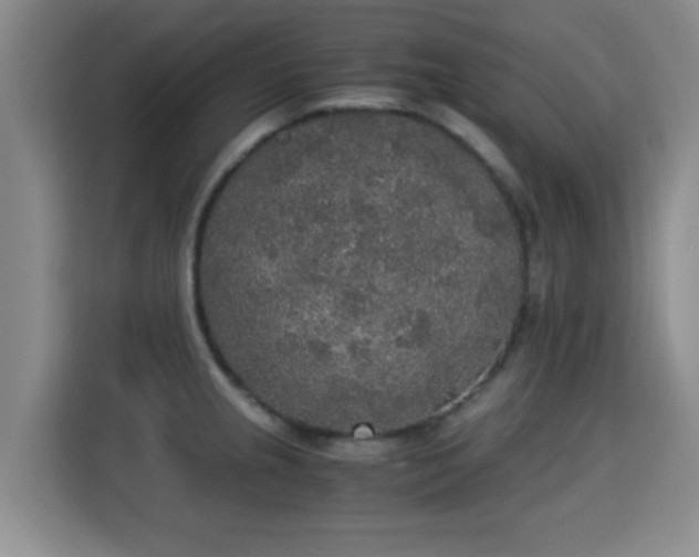 X0000115351237200911101129