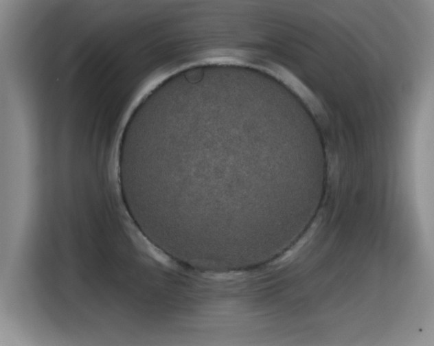 X0000115351240200911101129