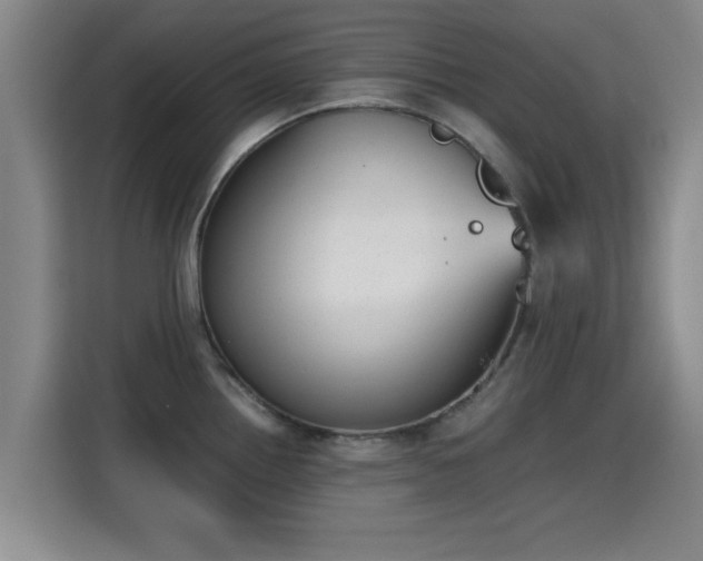 X0000115351242200911101130