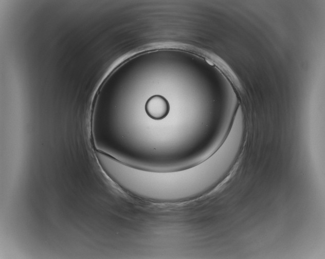 X0000115351244200911101130