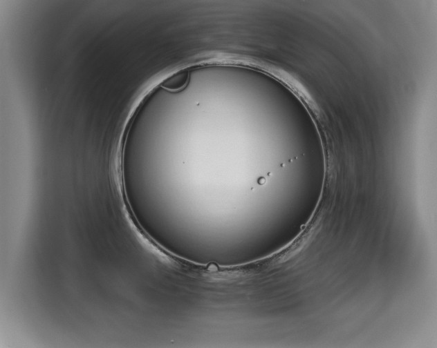 X0000115351247200911101130