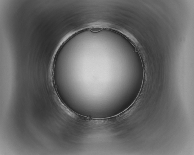 X0000115351248200911101130
