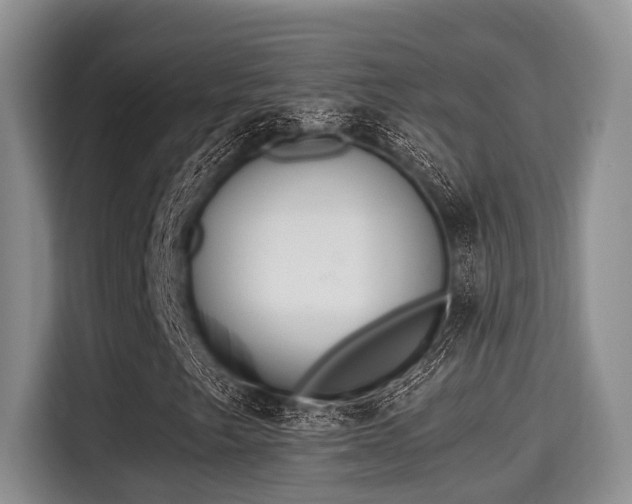 X0000115351249200911101129